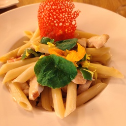 [M_21_25112022_15_00] Penne Pollo